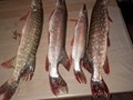 Baraj Almoguera Spain - 20171021202037.jpg
